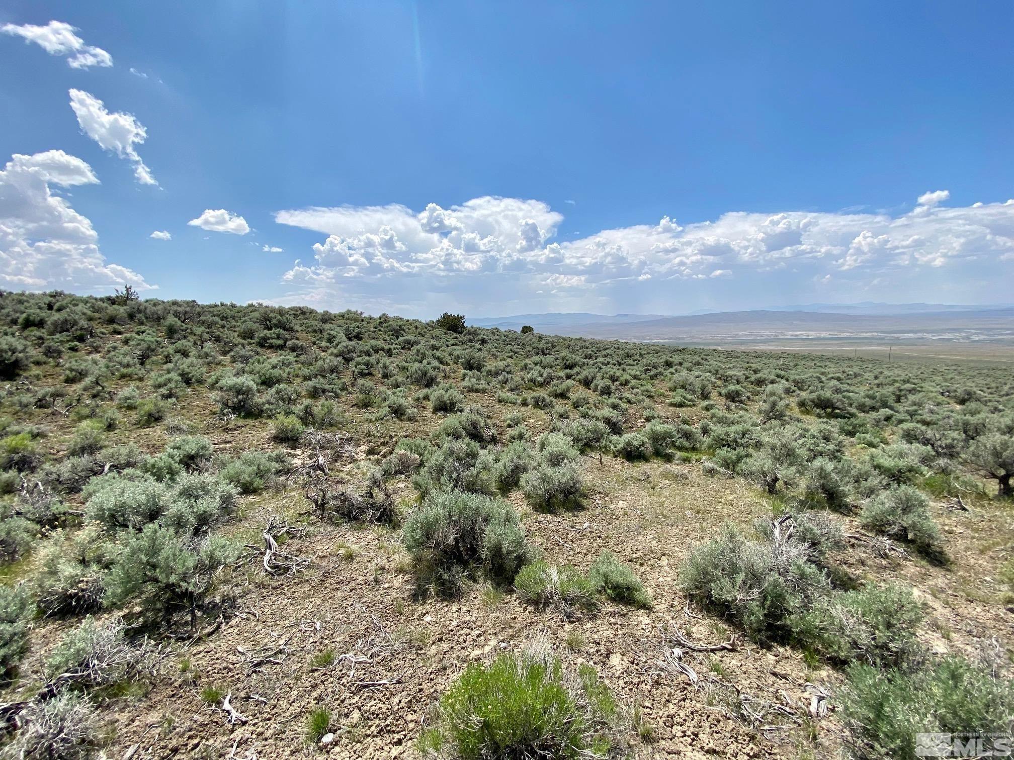 25355 Buffalo Canyon Rd Property Photo 11