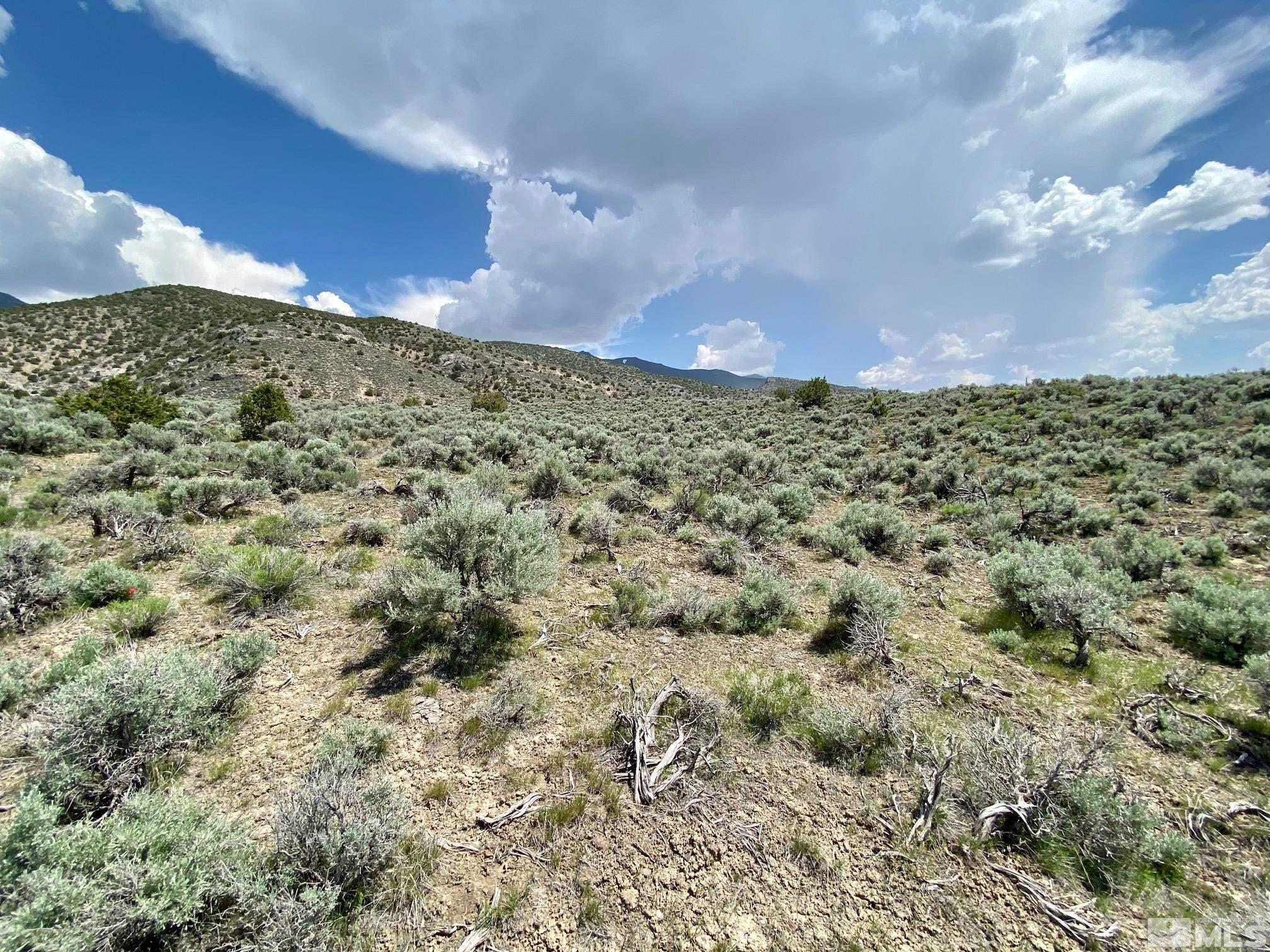 25355 Buffalo Canyon Rd Property Photo 12
