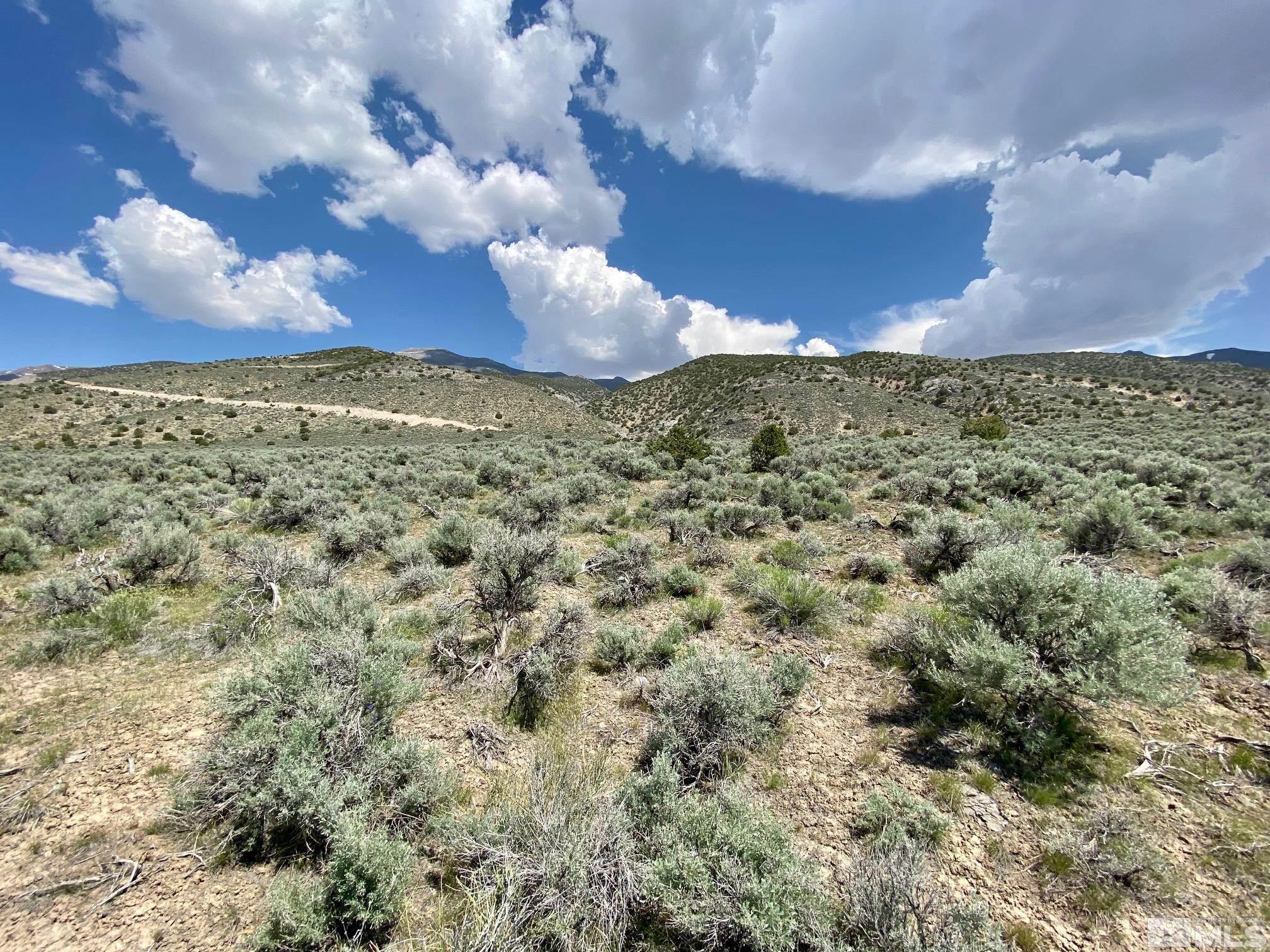 25355 Buffalo Canyon Rd Property Photo 13