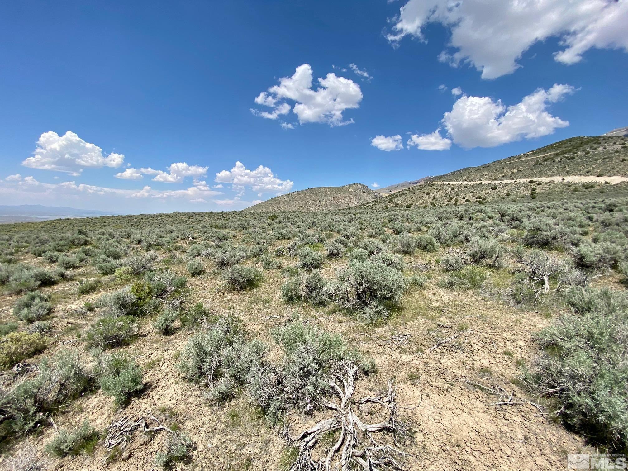 25355 Buffalo Canyon Rd Property Photo 14