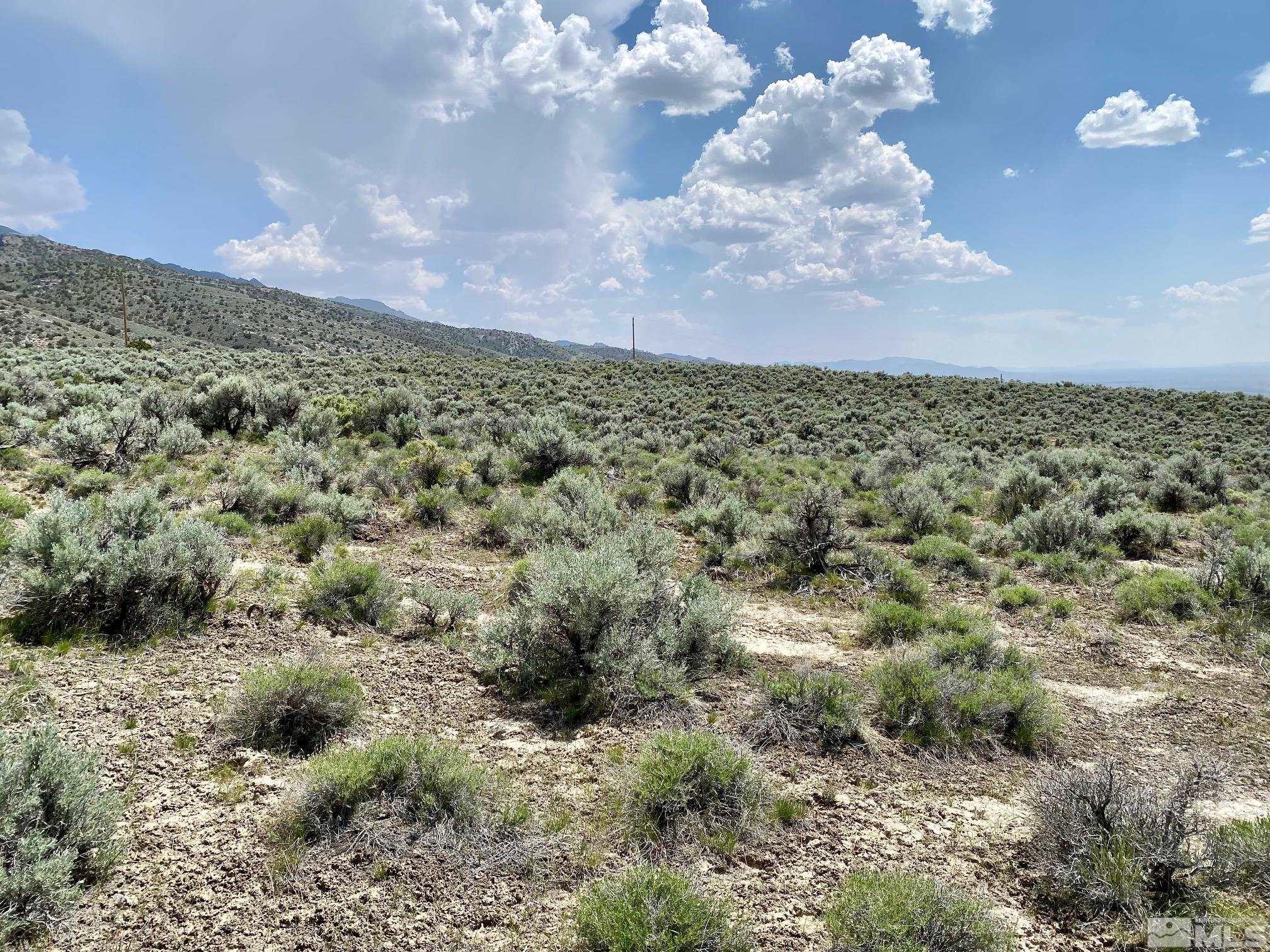 25355 Buffalo Canyon Rd Property Photo 17
