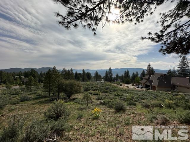 400 Mount Mahogany Ct Property Photo 6