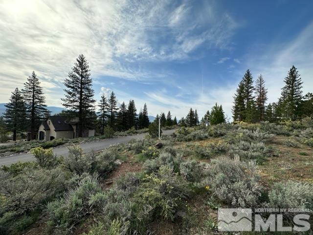 400 Mount Mahogany Ct Property Photo 9