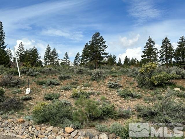 400 Mount Mahogany Ct Property Photo 11