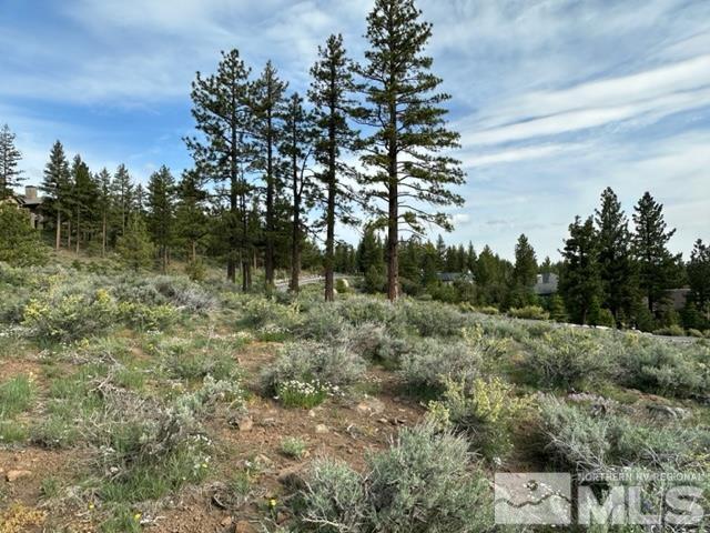 400 Mount Mahogany Ct Property Photo 14