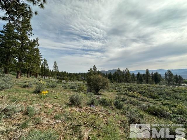 400 Mount Mahogany Ct Property Photo 16