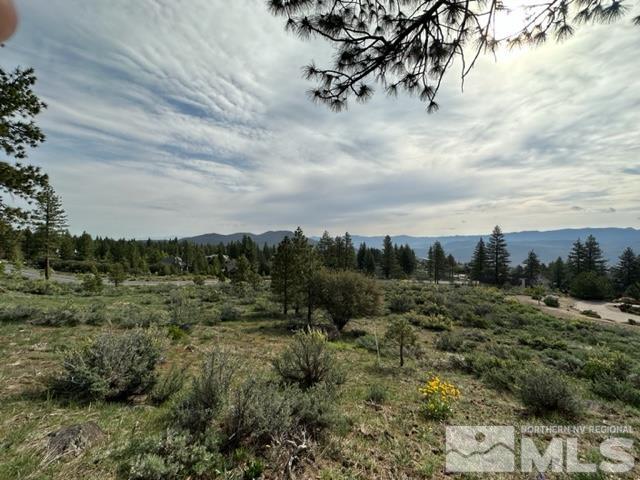 400 Mount Mahogany Ct Property Photo 17