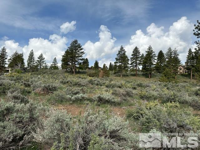 400 Mount Mahogany Ct Property Photo 18