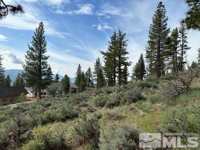 400 Mount Mahogany Ct Property Photo 19