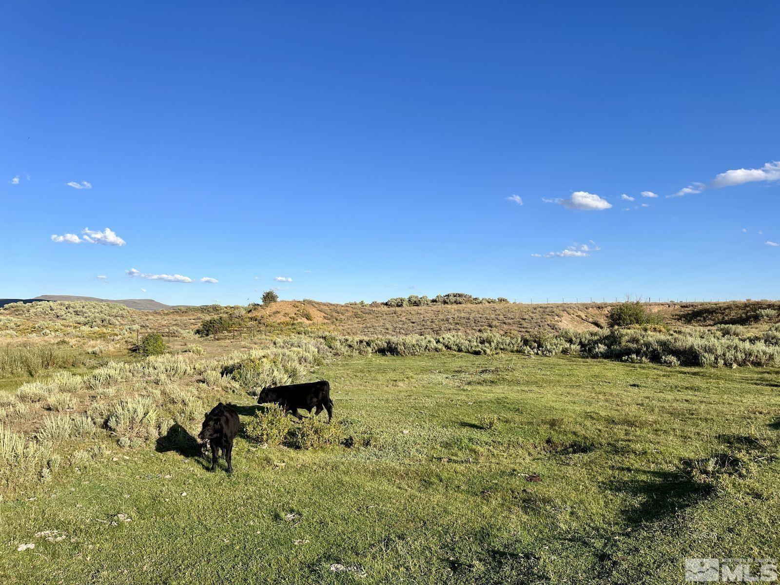 Wildhorse Ranch Property Photo