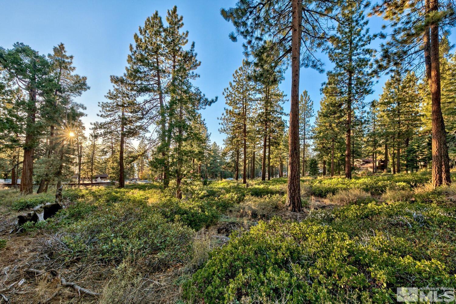 1227 Us Highway 50 Property Photo 5