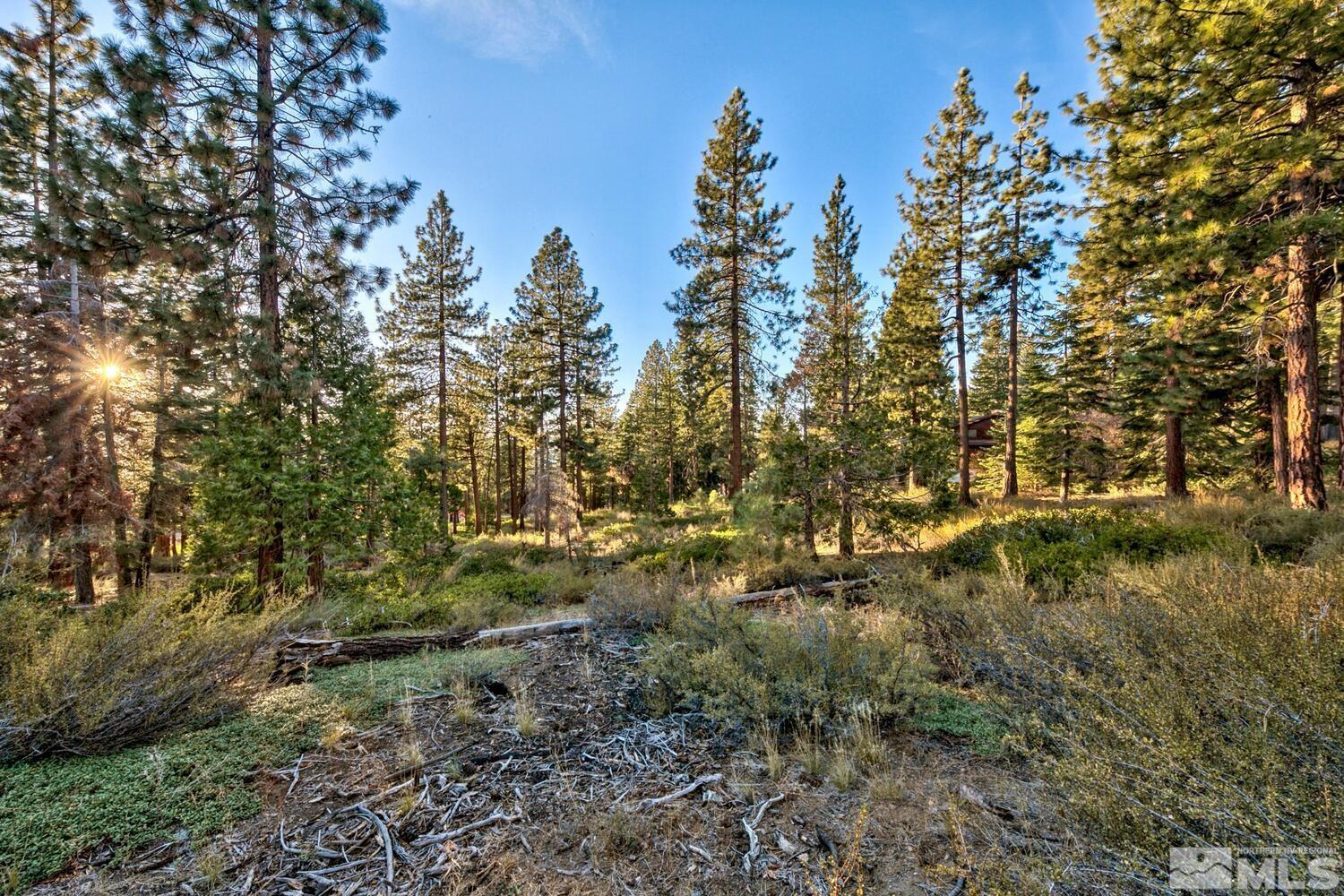 1227 Us Highway 50 Property Photo 6