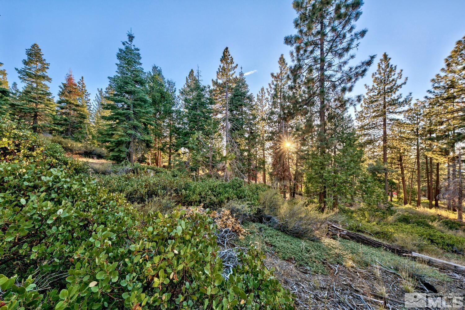 1227 Us Highway 50 Property Photo 7