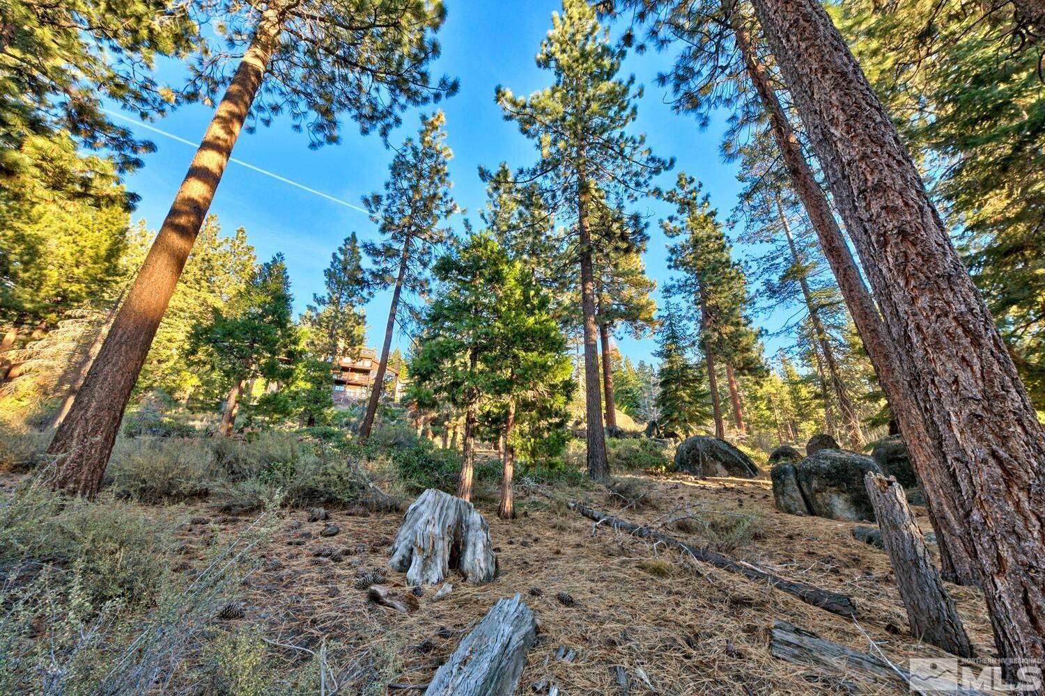 1227 Us Highway 50 Property Photo 8