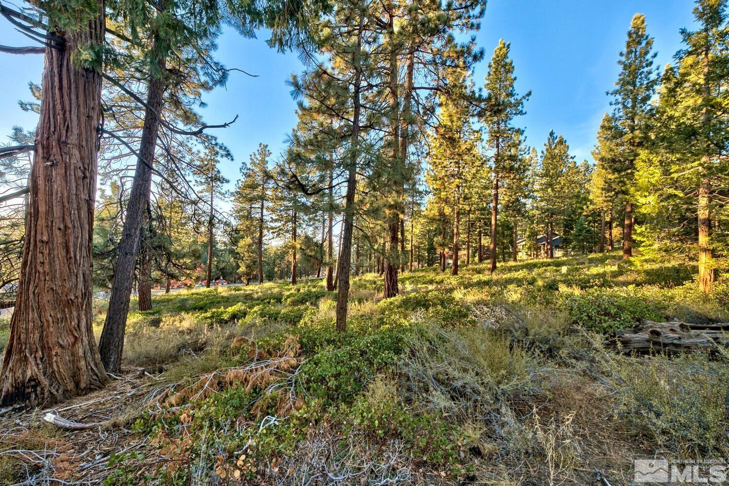 1227 Us Highway 50 Property Photo 9