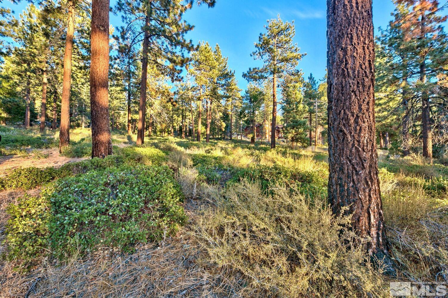 1227 Us Highway 50 Property Photo 10
