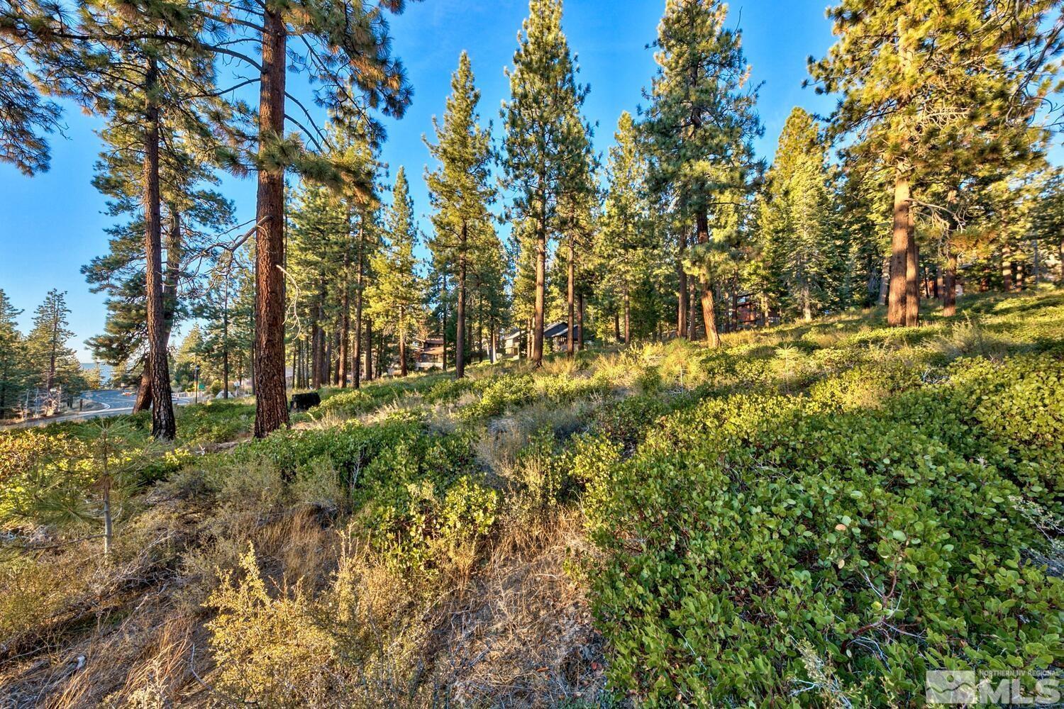 1227 Us Highway 50 Property Photo 11
