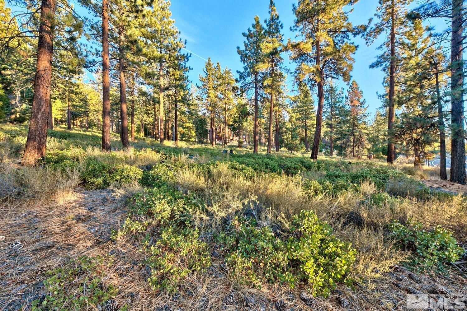 1227 Us Highway 50 Property Photo 12