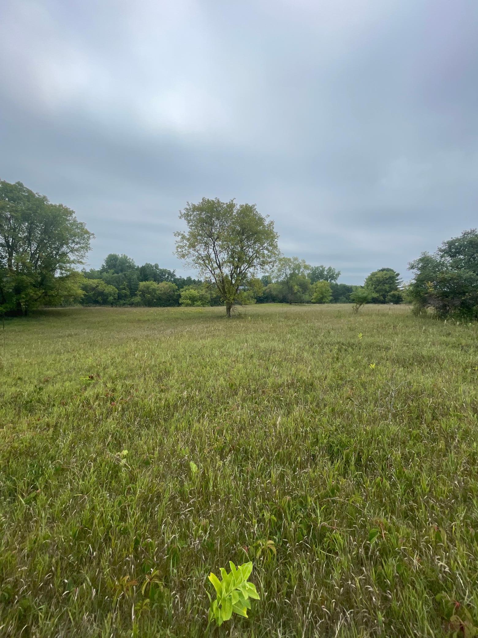 XXX 105th, Grant, MN 55115 | MLS#: 6423936 | Grant Real Estate