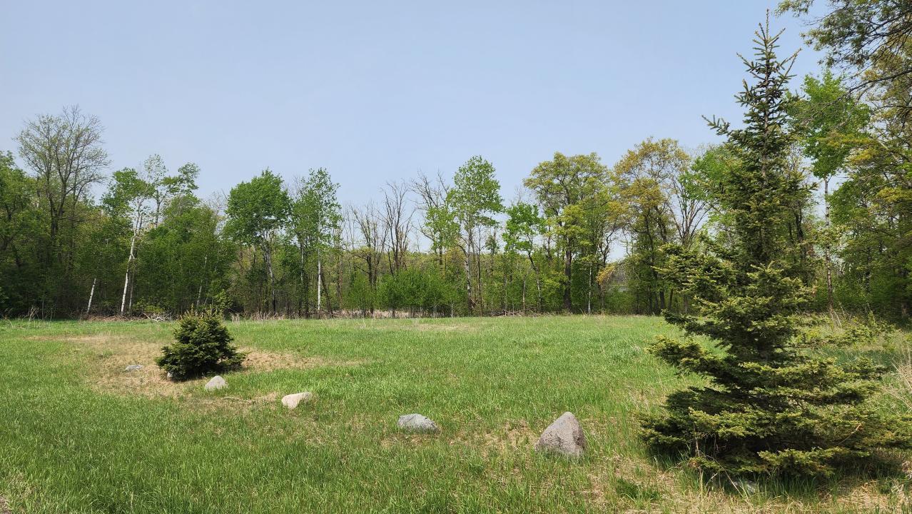 12190 Spring Road Property Photo 3