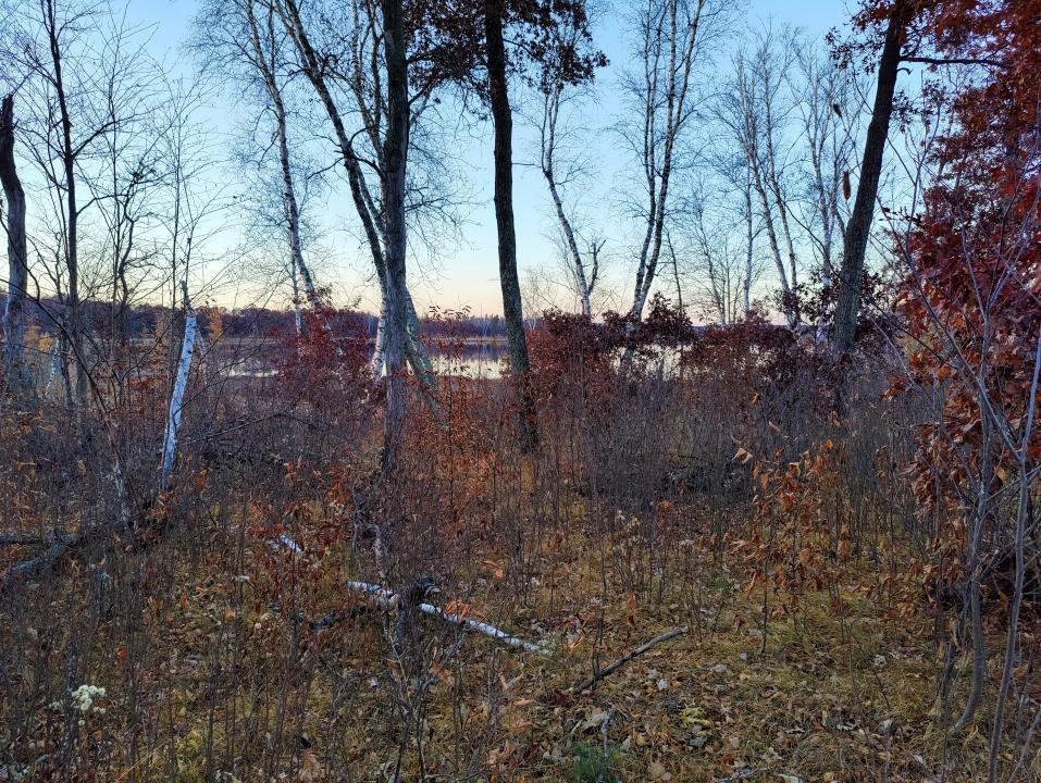 12190 Spring Road Property Photo 11
