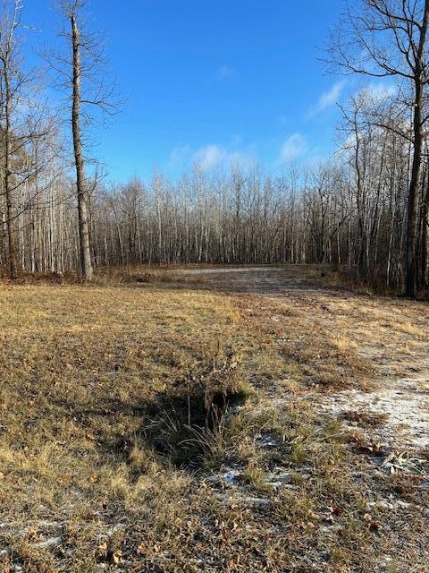 Xxx Bear Tracks Lane Property Photo