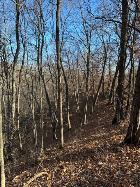 Xxx 263rd Street Property Photo 17
