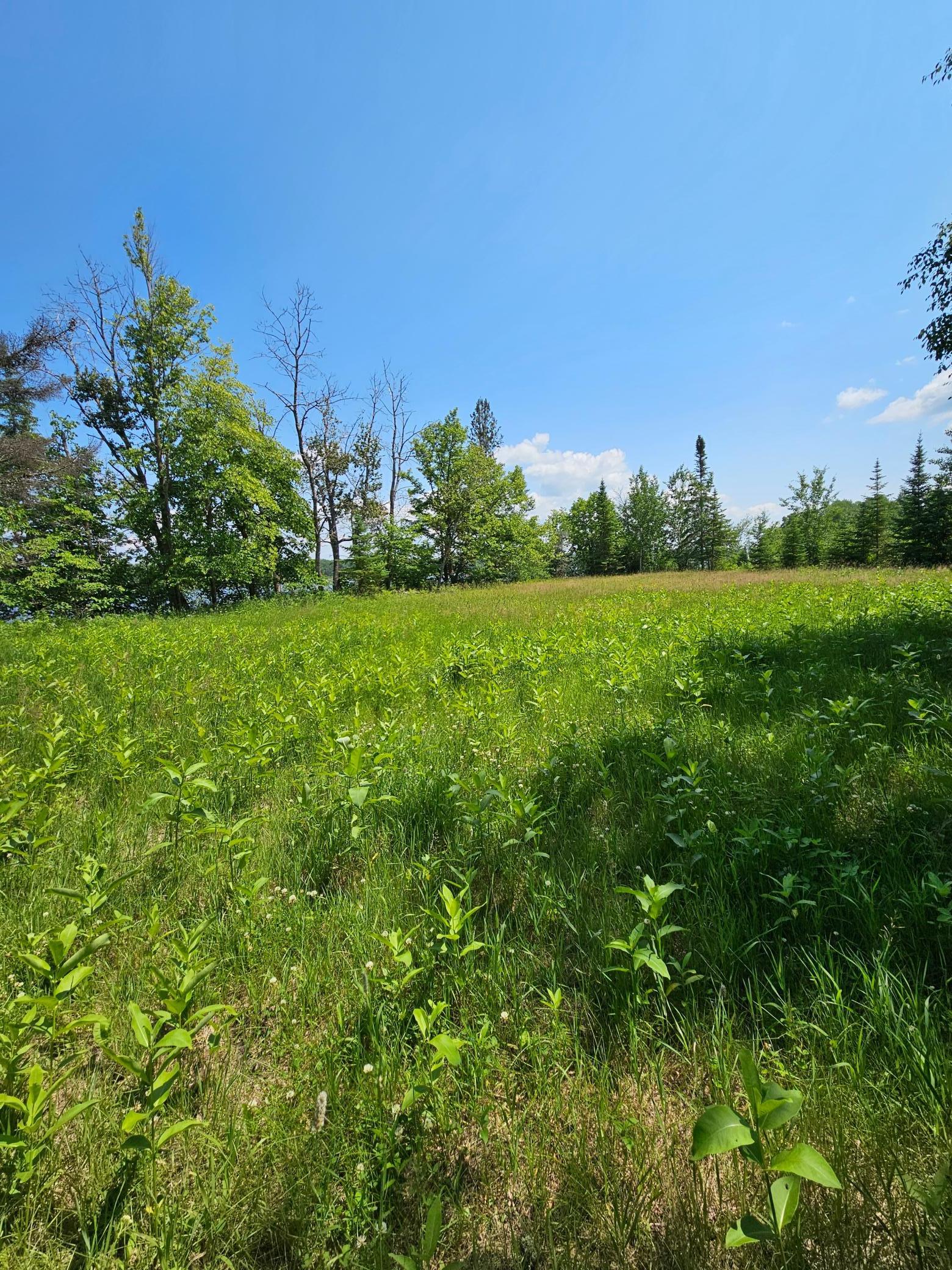 Lot6 Hooper Creek Loop Property Photo