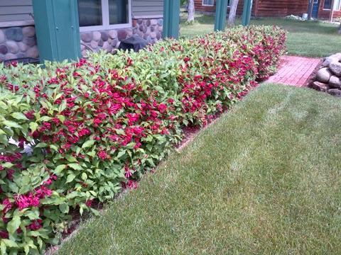 32536 218th Lane Property Photo 9