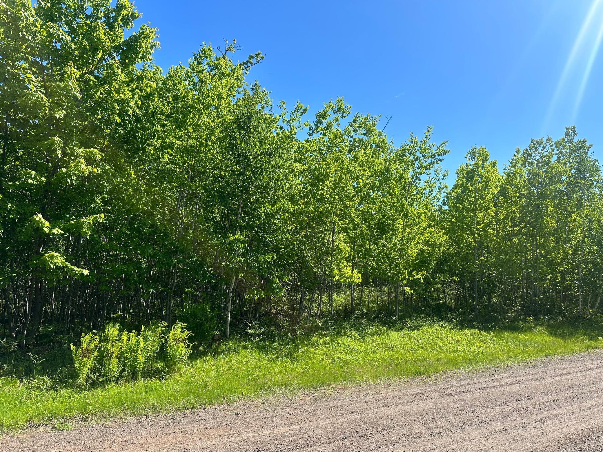 42xx Spotted Fawn Trail Property Photo 1