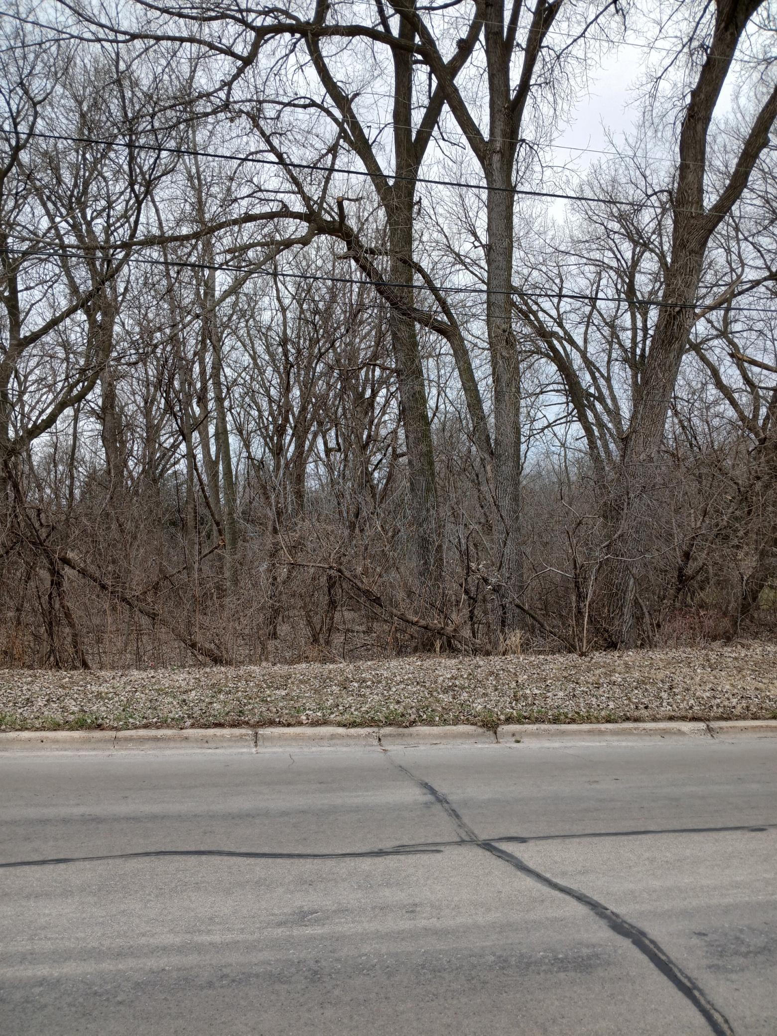 Tbd Lakewood Avenue Property Photo 1