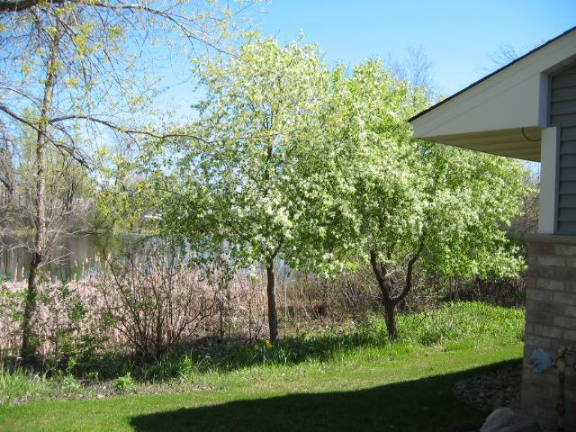 2554 Rice Street Property Photo 12