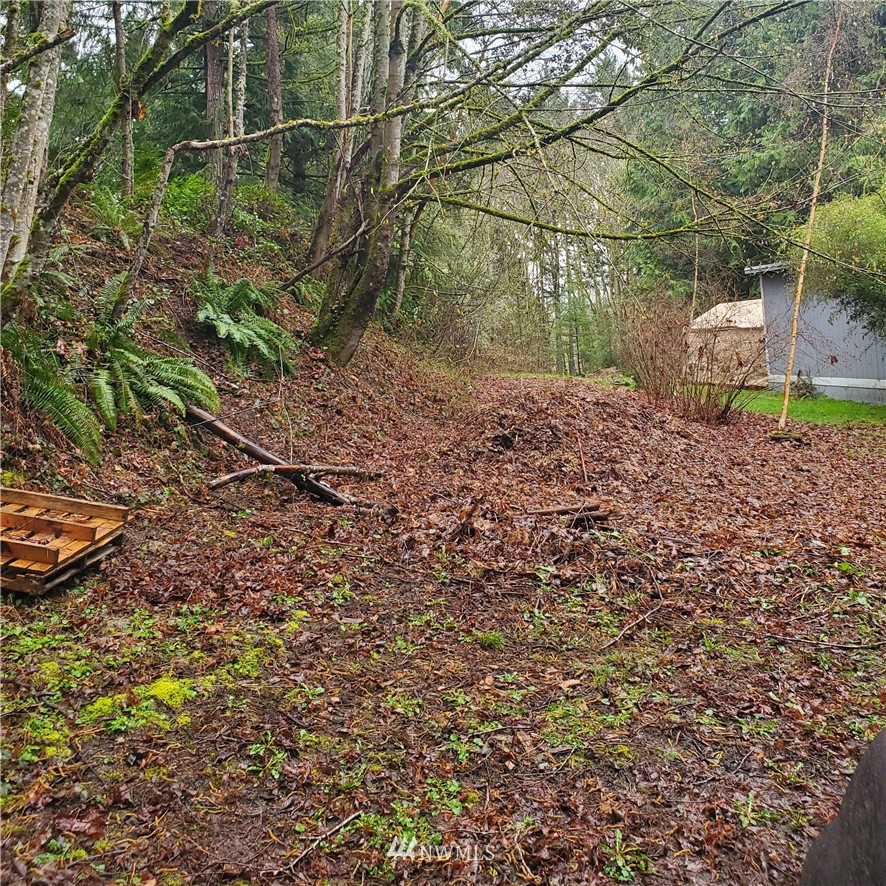0 Xxxx Old Military Road Property Photo 2