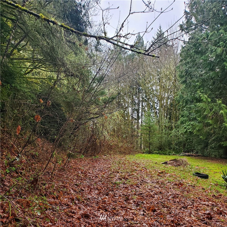 0 Xxxx Old Military Road Property Photo 4