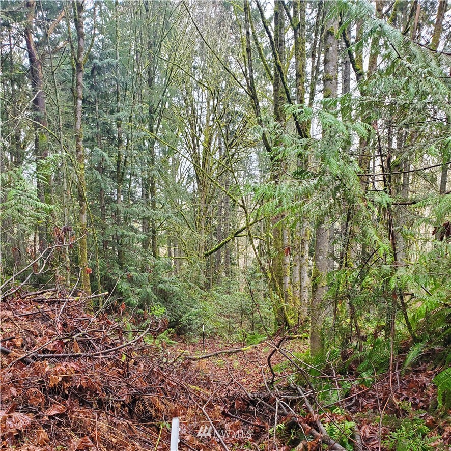 0 Xxxx Old Military Road Property Photo 5