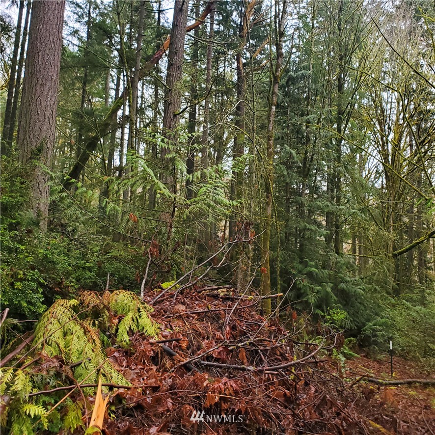 0 Xxxx Old Military Road Property Photo 6