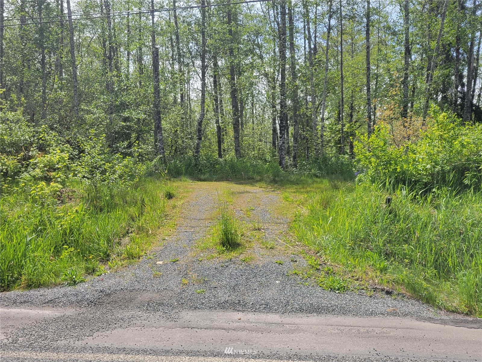 3474 Old Highway 99 Road Property Photo