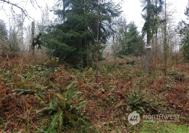 0 Ne Union Hill Road Property Photo 1