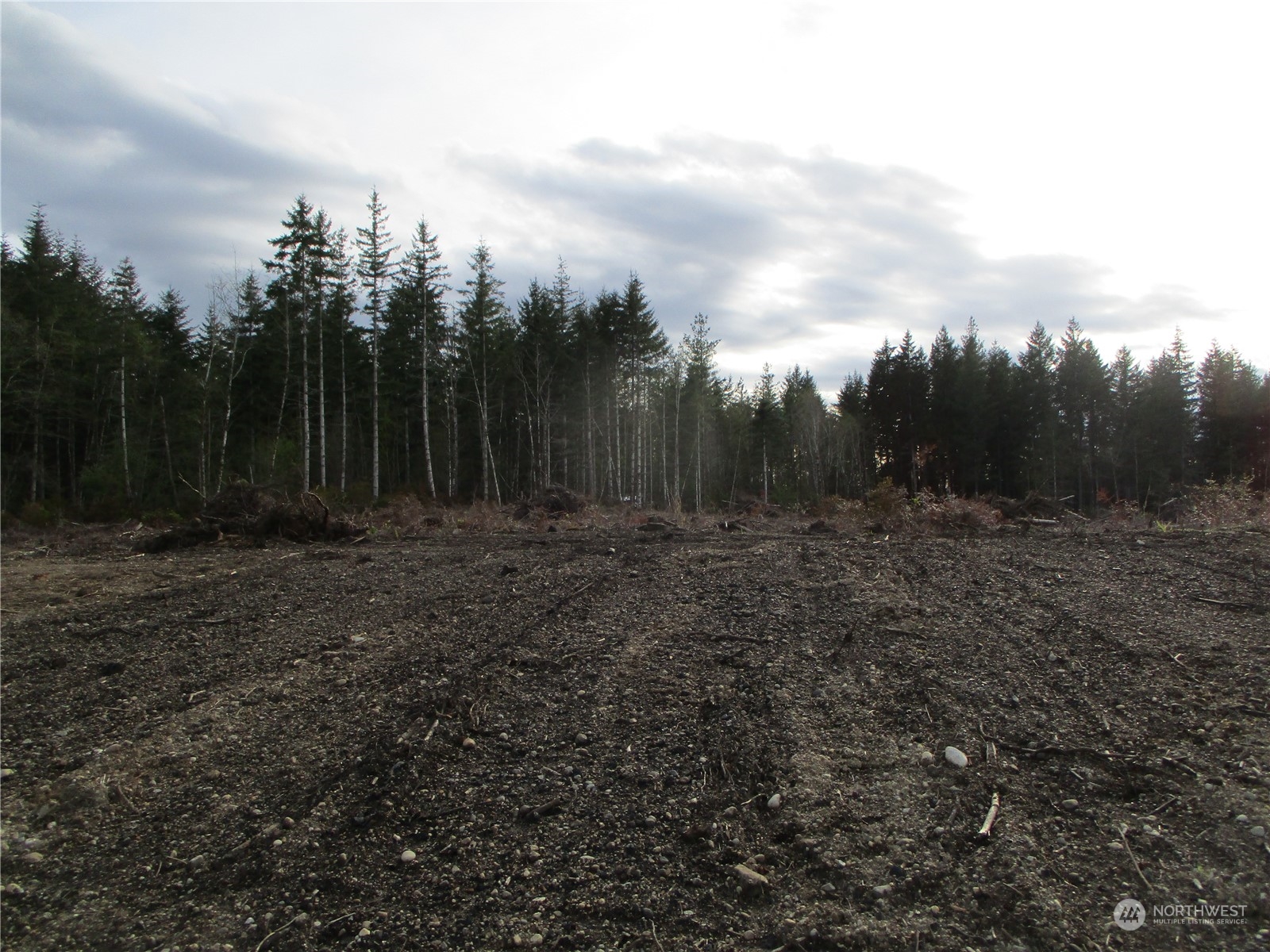 0 Tract C1 Johnson Ridge Road Property Photo 6