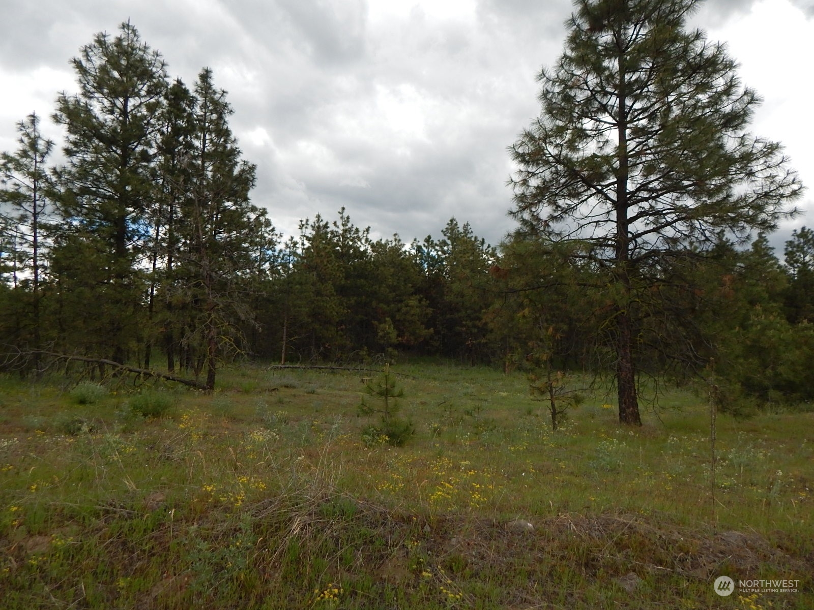 5 Parcel 5 Prairie Lane Property Photo