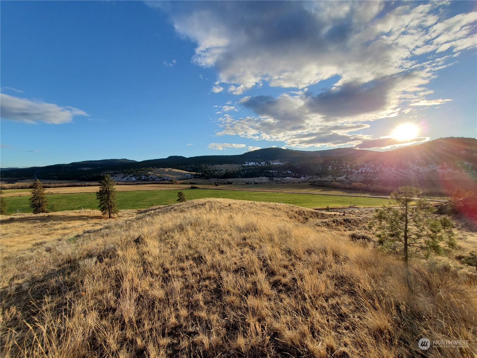 0 Lot 9 State Route 20 & Aeneas Valley Road Property Photo 4