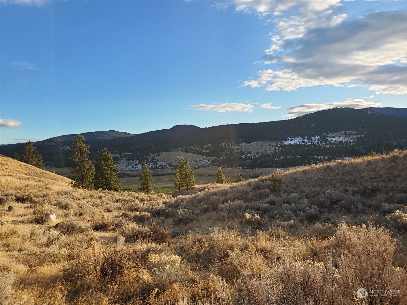 0 Lot 9 State Route 20 & Aeneas Valley Road Property Photo 6