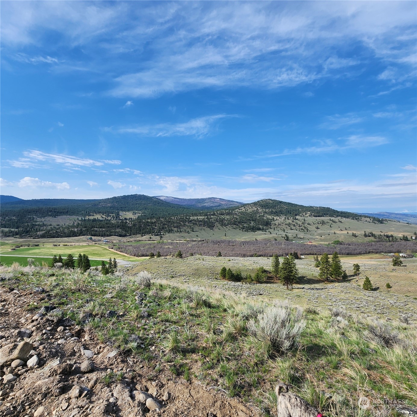 0 Lot 9 State Route 20 & Aeneas Valley Road Property Photo 9