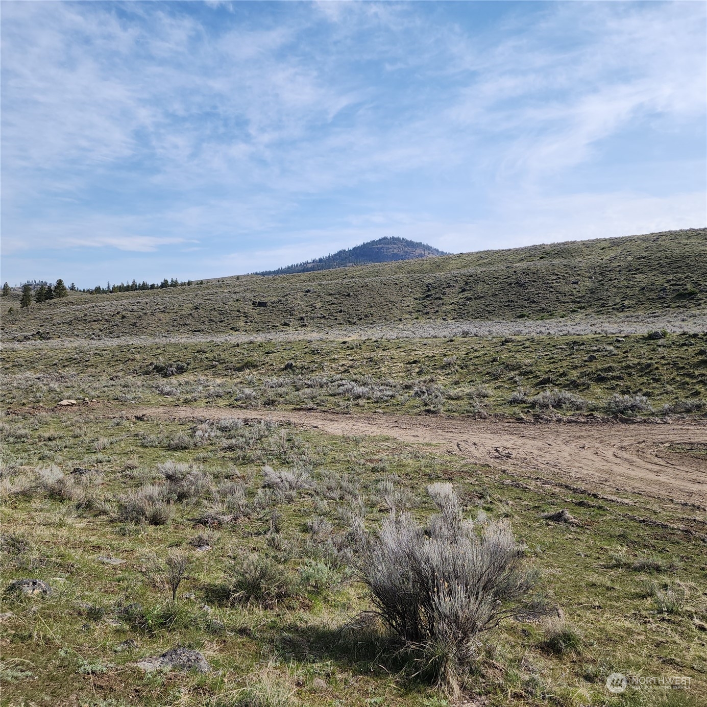 0 Lot 9 State Route 20 & Aeneas Valley Road Property Photo 10