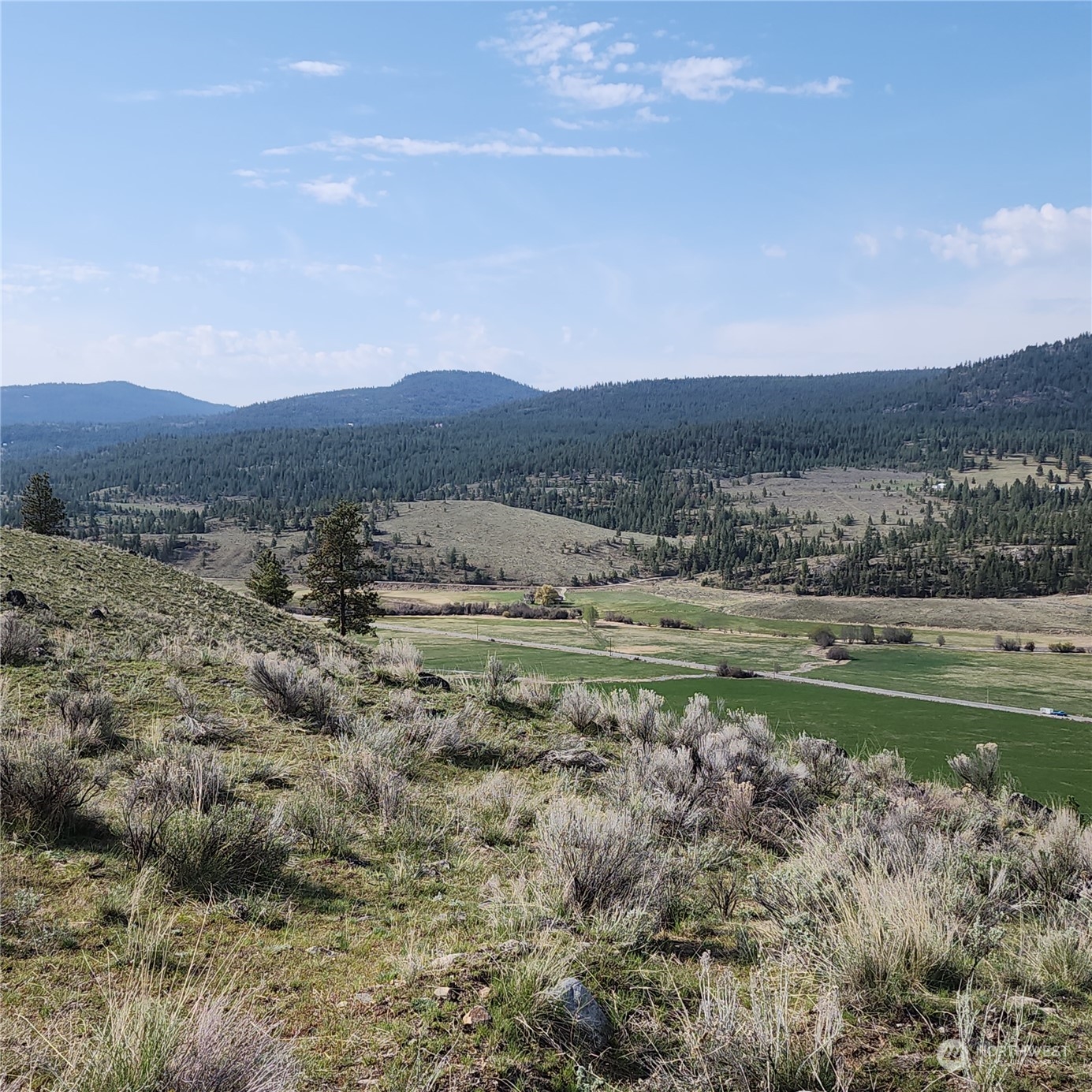 0 Lot 9 State Route 20 & Aeneas Valley Road Property Photo 12