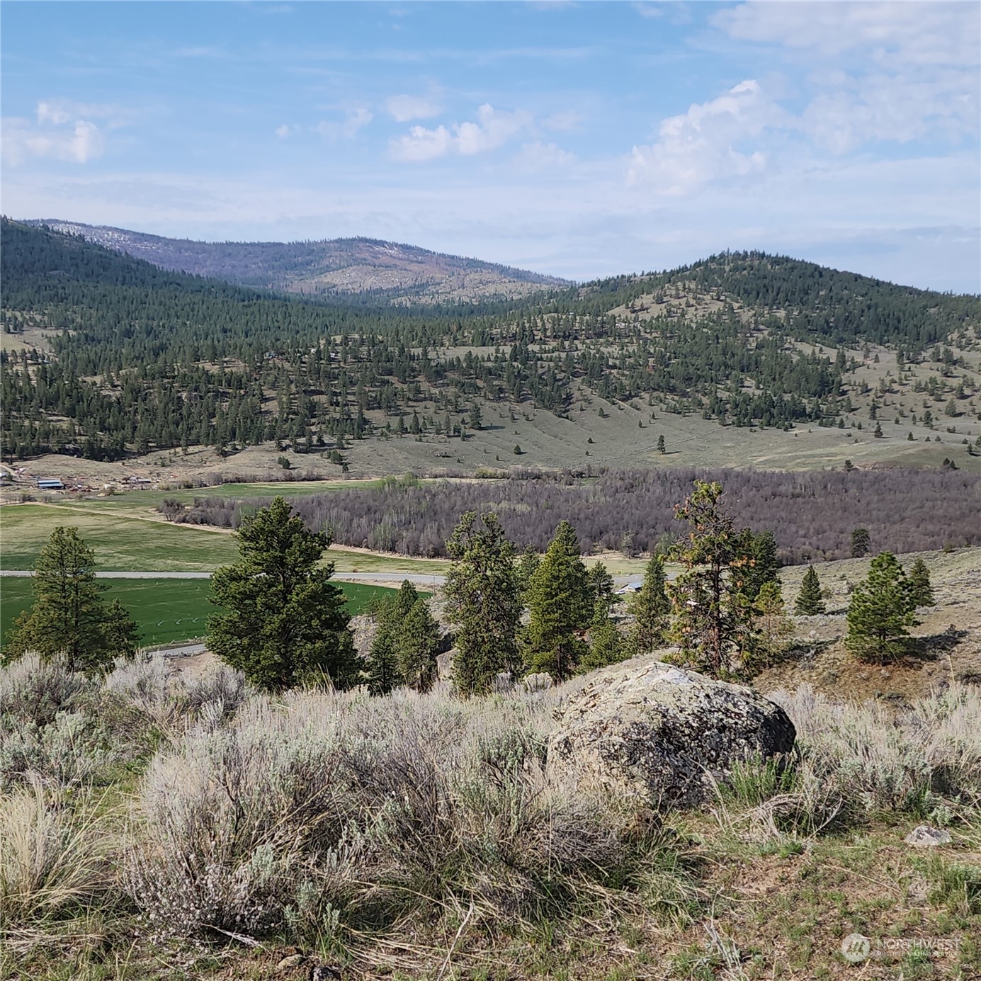 0 Lot 9 State Route 20 & Aeneas Valley Road Property Photo 13