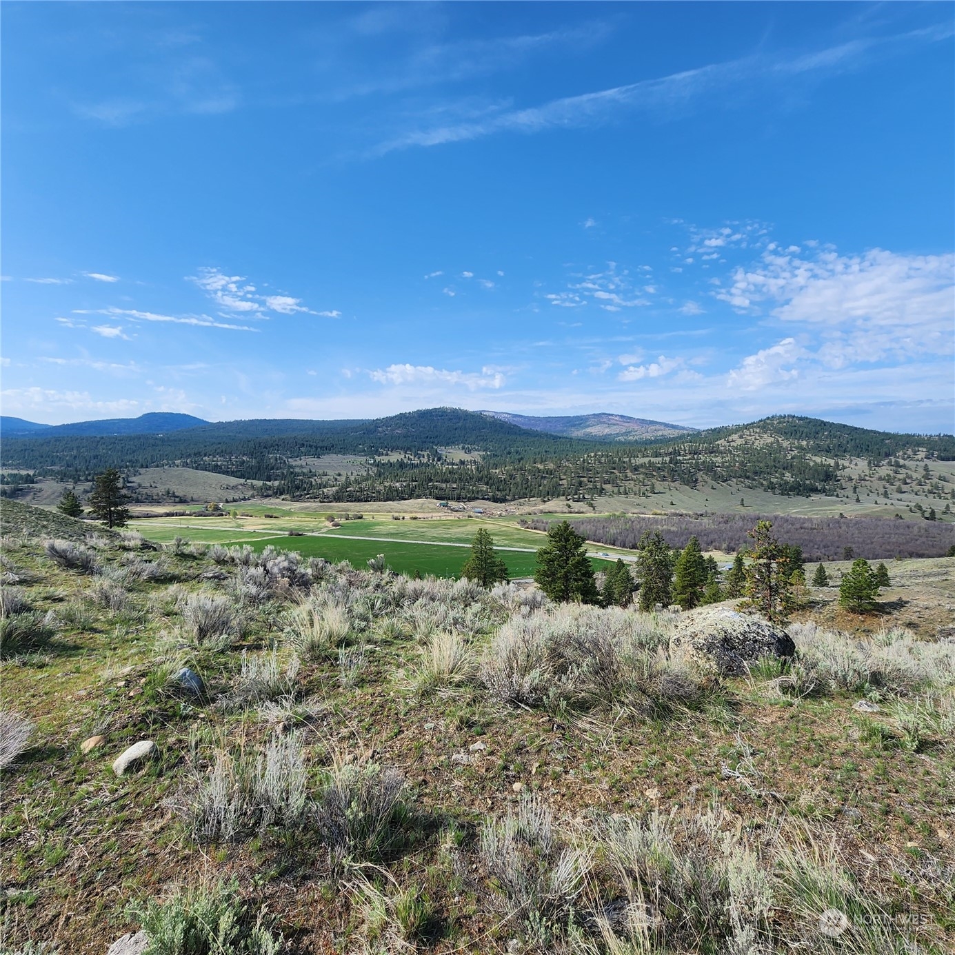 0 Lot 9 State Route 20 & Aeneas Valley Road Property Photo 14