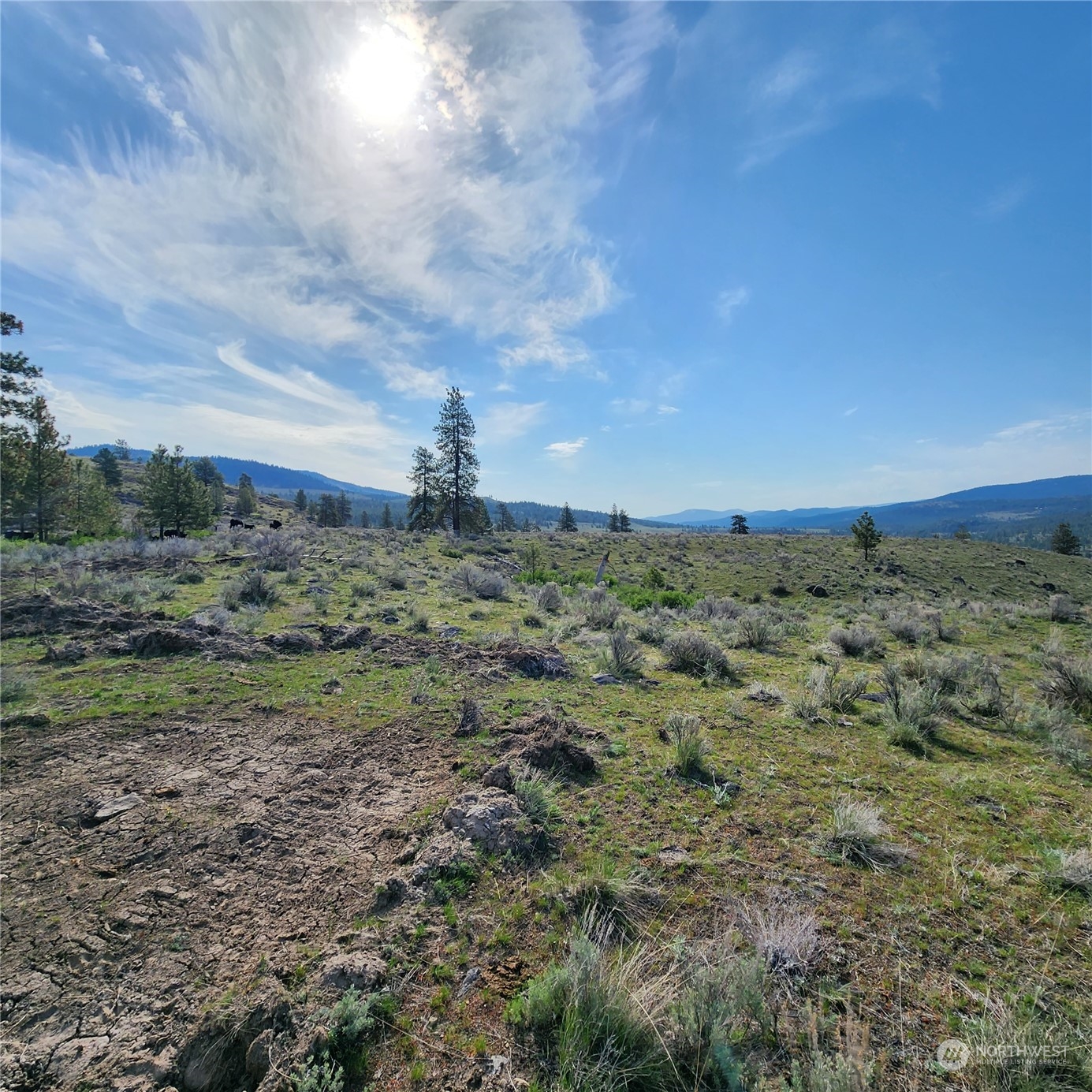 0 Lot 9 State Route 20 & Aeneas Valley Road Property Photo 15