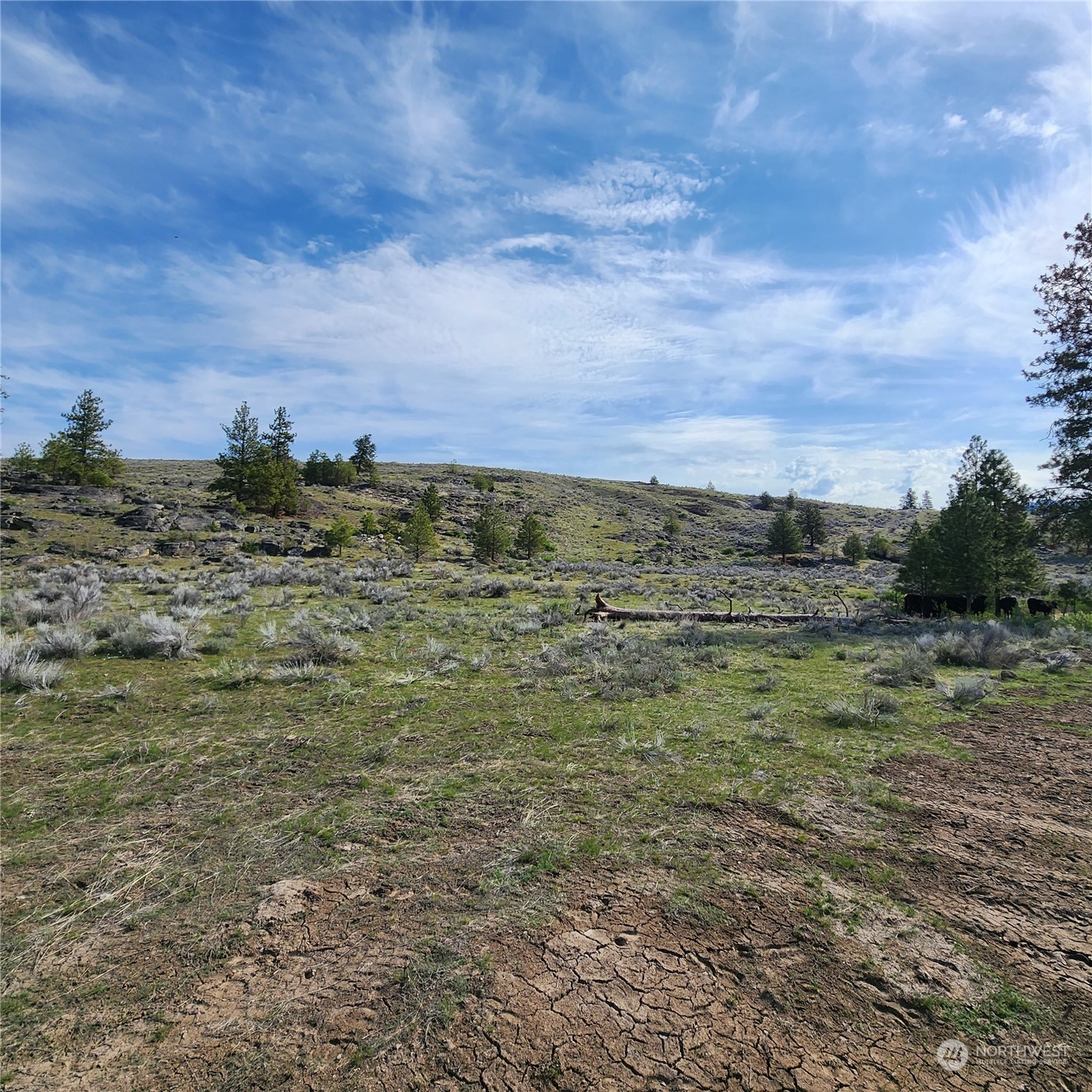0 Lot 9 State Route 20 & Aeneas Valley Road Property Photo 17