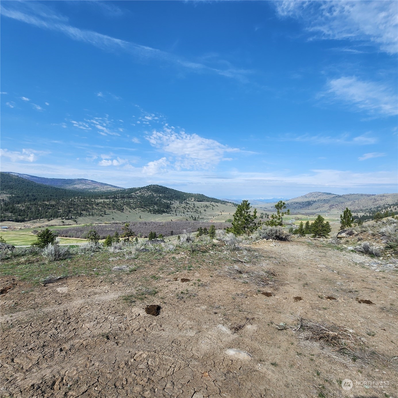0 Lot 9 State Route 20 & Aeneas Valley Road Property Photo 18